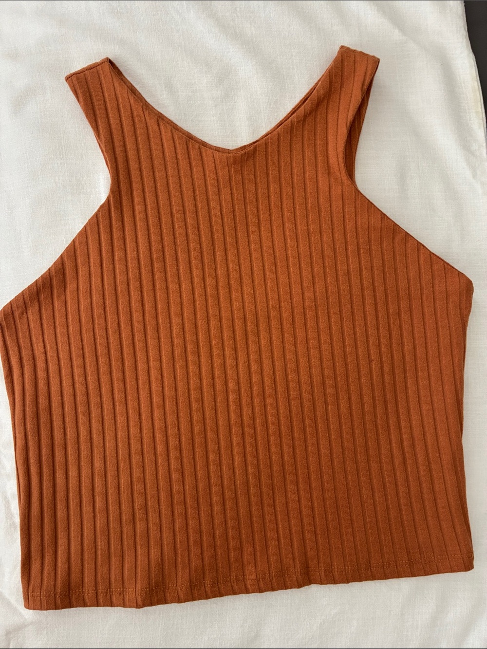 Treasure & Bond Ribbed Crop Tank in Rust